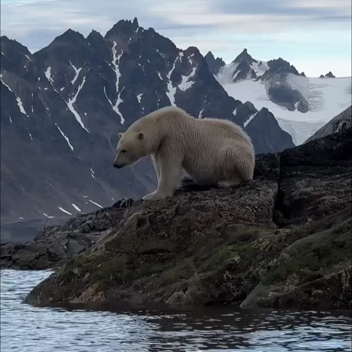  , !