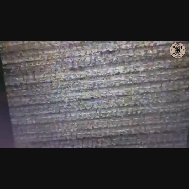 , 10 ,    FPV-