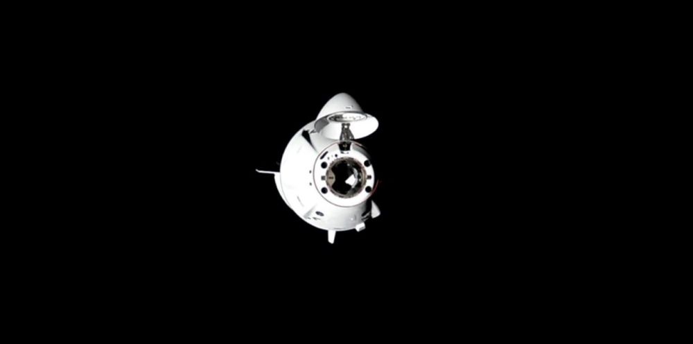 Crew Dragon      
