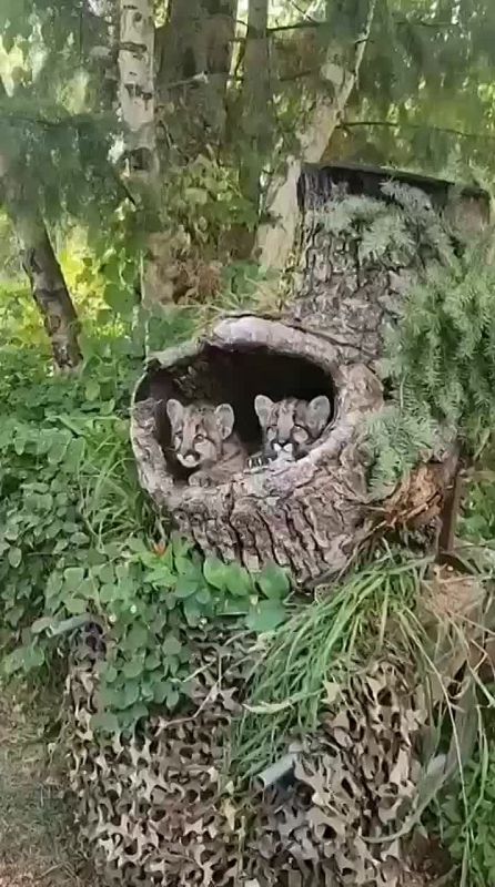  , !