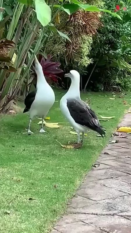  , !