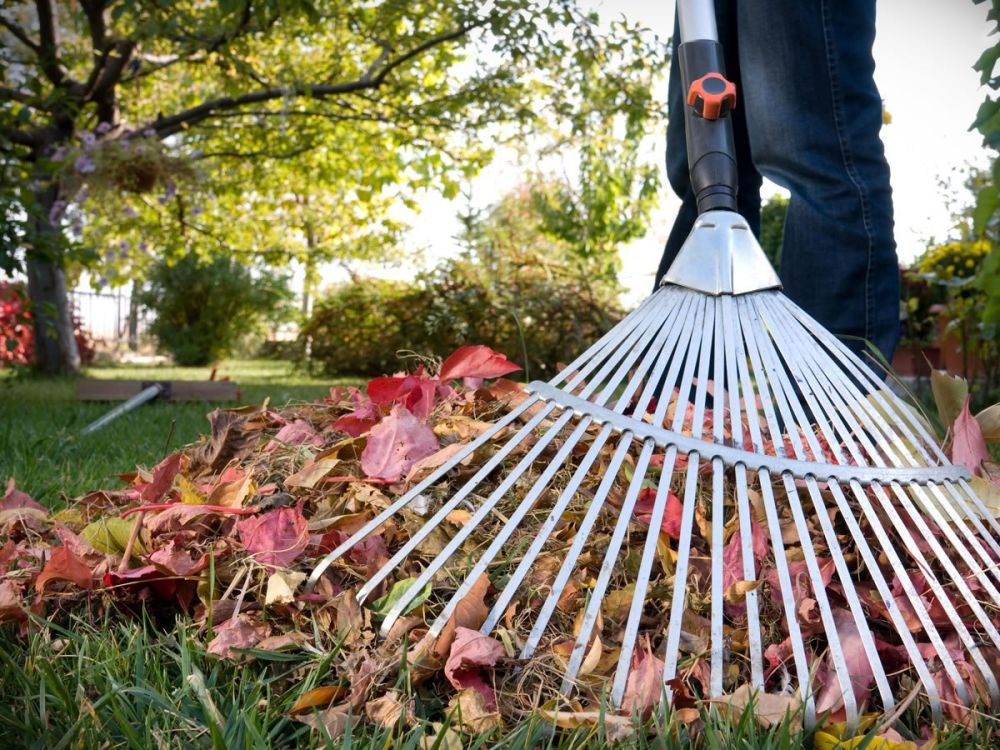 Внимание!! Всем хозяйствующим субъектам, осуществляющим деятельность на территории городского округа Мариуполь