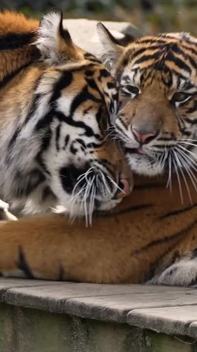  , !.  ,  ,     !      ,   ! National Geographic     ...