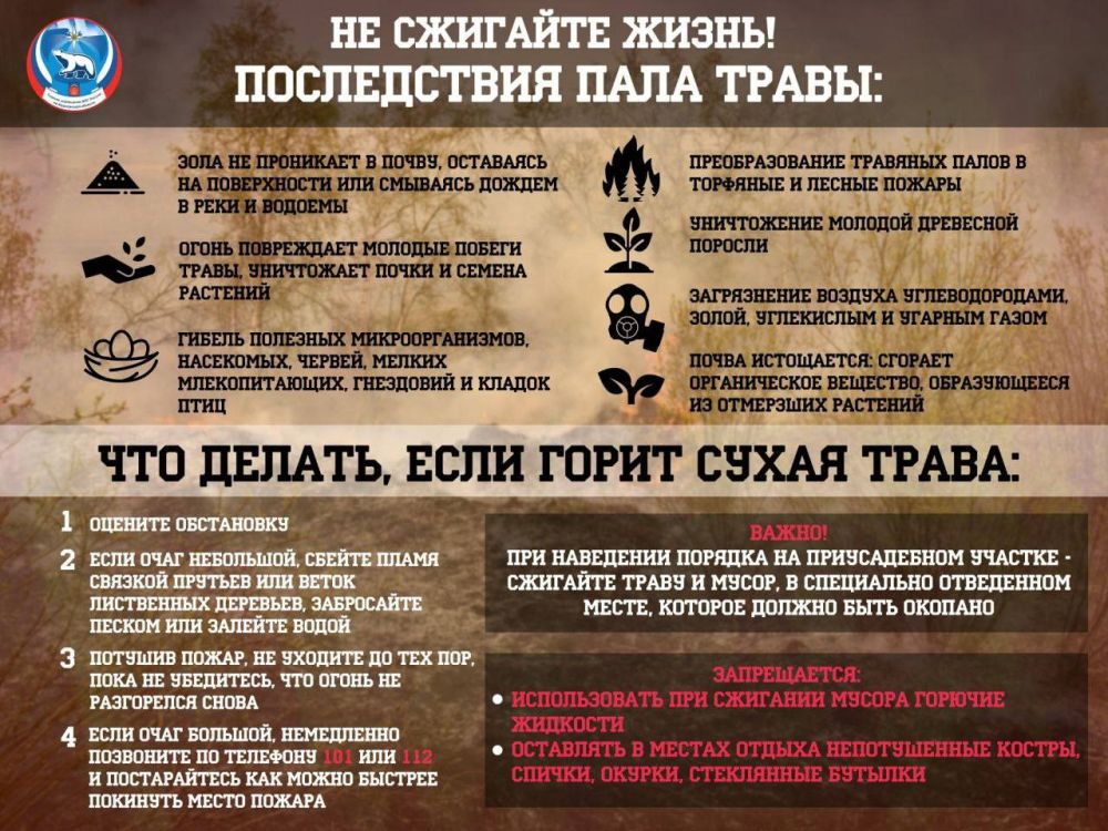 МЧС России по ДНР напоминает о запрете пала сухой травы и тяжелых последствиях