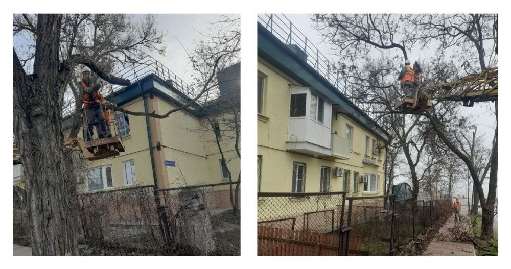 На протяжении недели МУП "Зеленстрой" осуществлял обрезку и кронирование деревьев на территории Ильичевского района