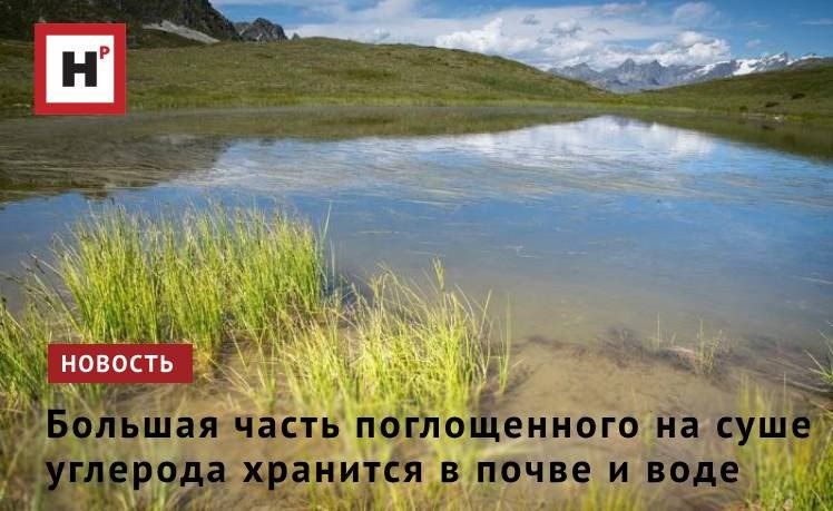 Общая величина поглотителей углерода на поверхности Земли хорошо известна, однако ученые очень мало знают о распределении углерода между наземными резервуарами: растительностью и неживыми углеродными бассейнами —...