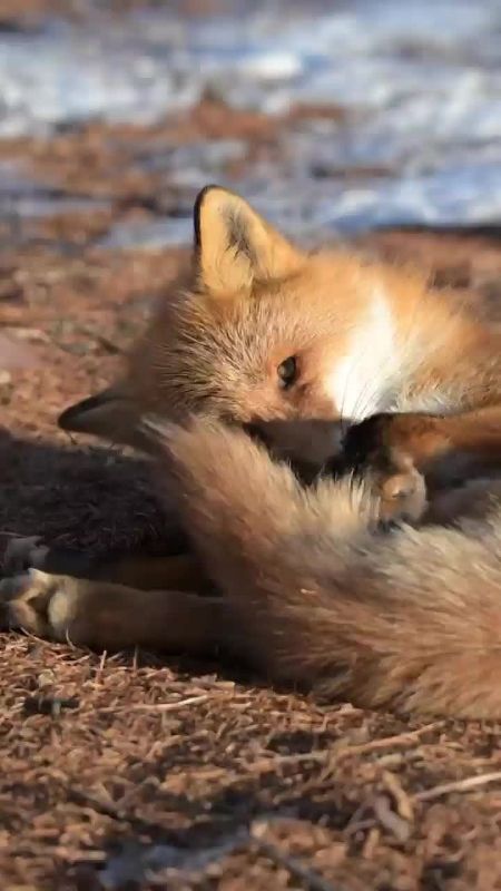  , !.       ,        !       ,      : 