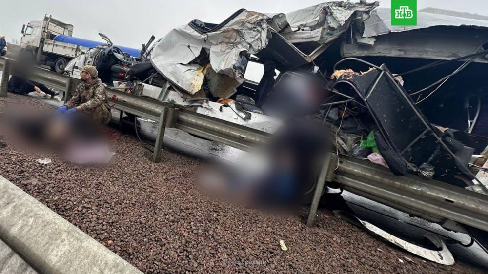 Пять человек погибли и шесть пострадали в ДТП с маршруткой на юге ДНР