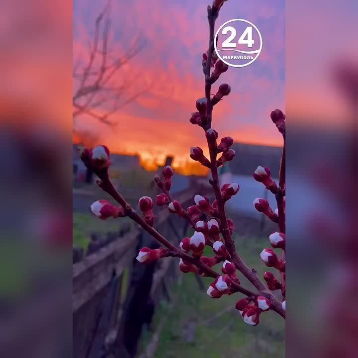 Спокойной ночи, Мариуполь!