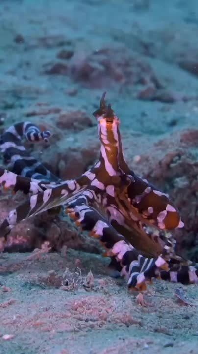 Спокойной ночи, Мариуполь!