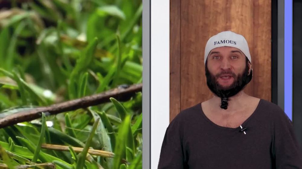 Прогноз погоды на 04.04.2025