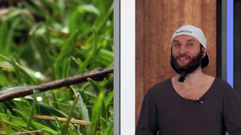 Прогноз погоды на 06.04.2025