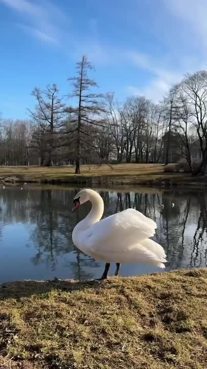   , !