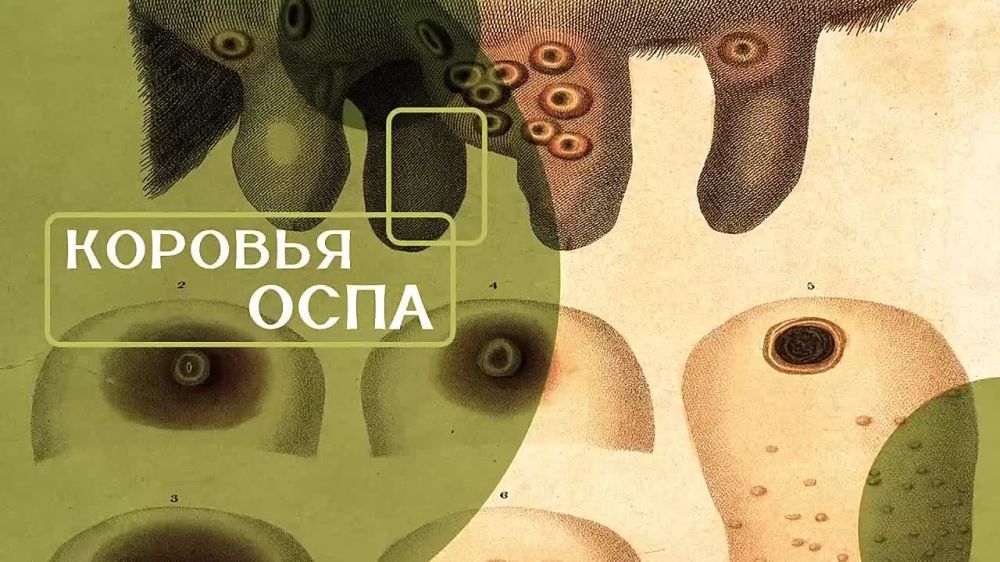 А Вы знали? Медицина 05.04.2025