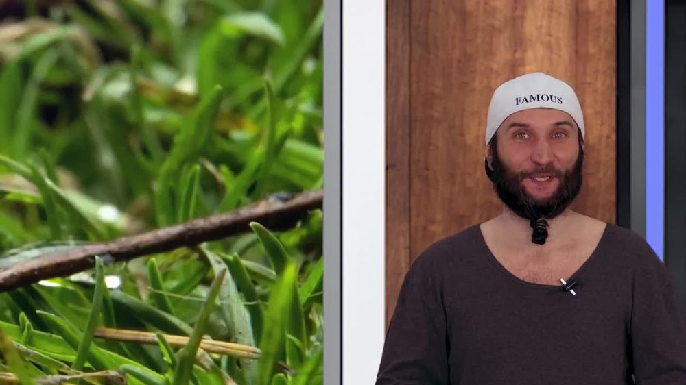 Прогноз погоды на 08.04.2025