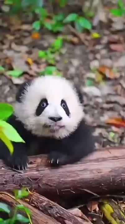  , !