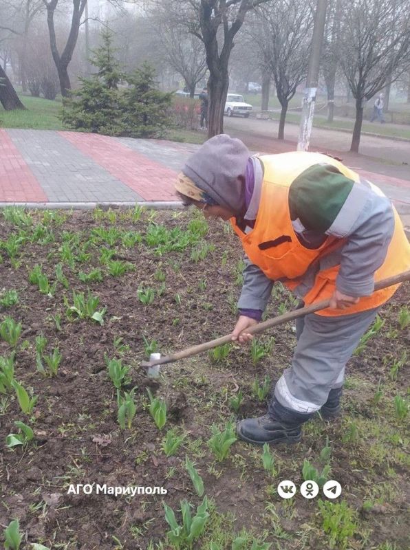 «Зеленстрой» облагораживает цветники в сквере Памяти