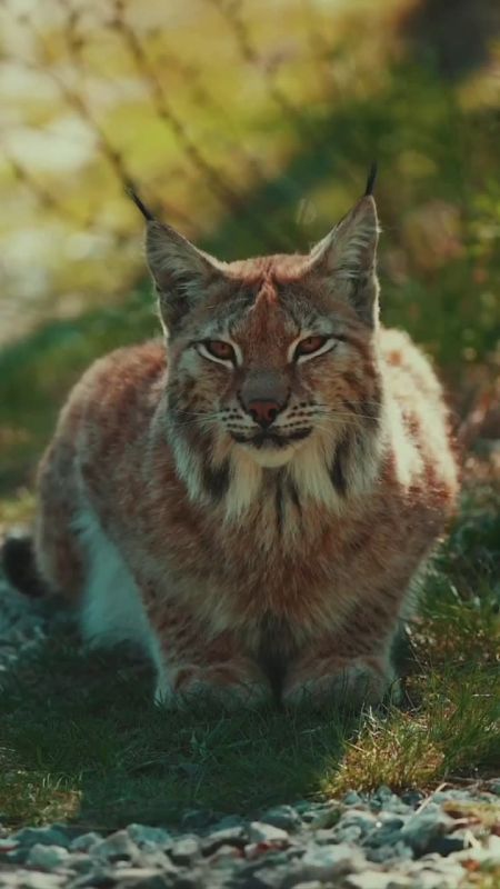 Спокойной ночи, Мариуполь!