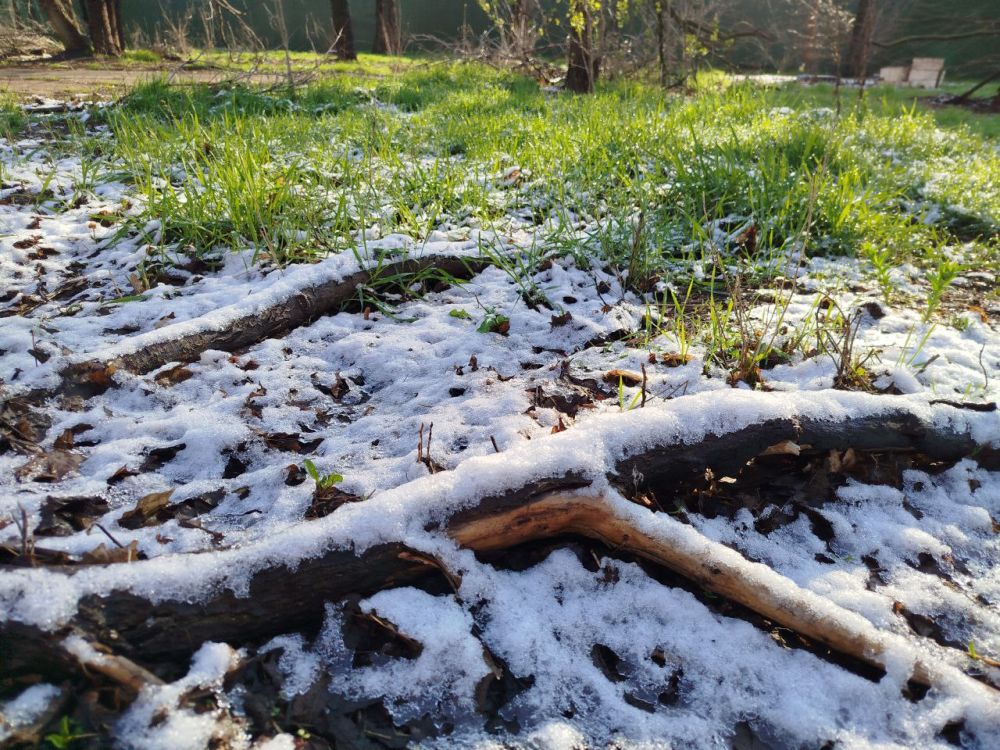 Апрельский снег сегодняшнего солнечного утра Апрельский снег сегодняшнего солнечного утра
