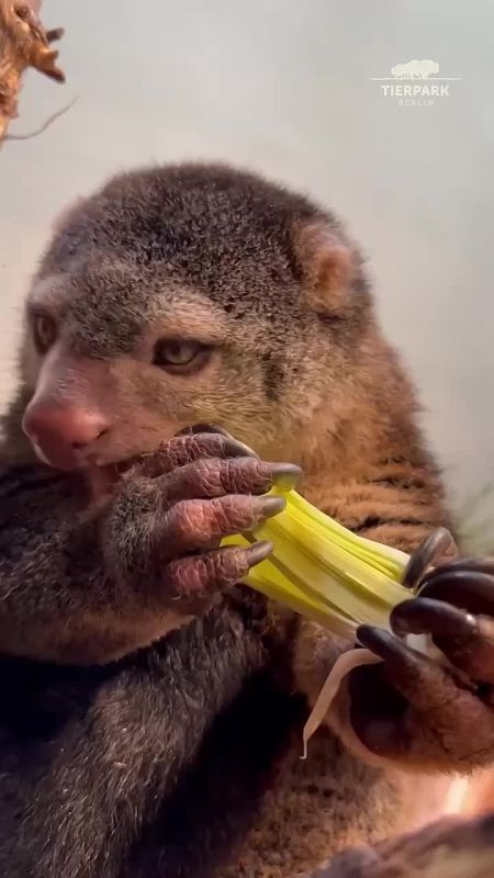 Доброе утро, Мариуполь!. Пусть утренний позитивный настрой подарит замечательный день