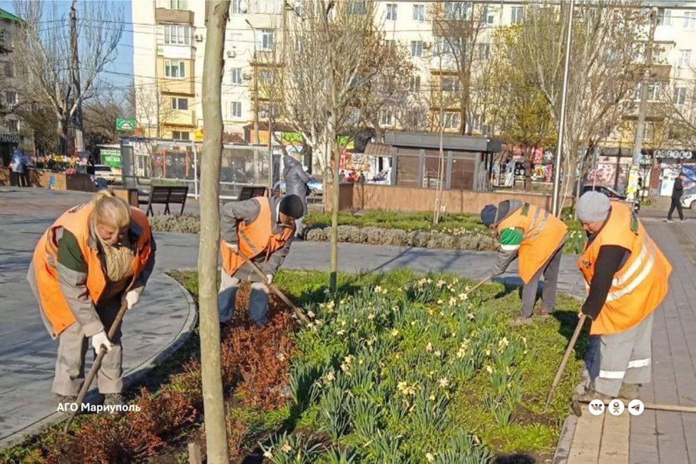 В Ильичевском районе коммунальщики ведут борьбу с сорняками