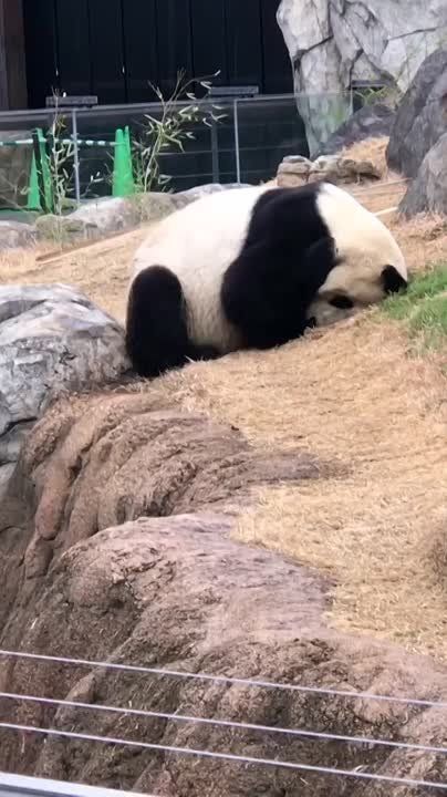  , !