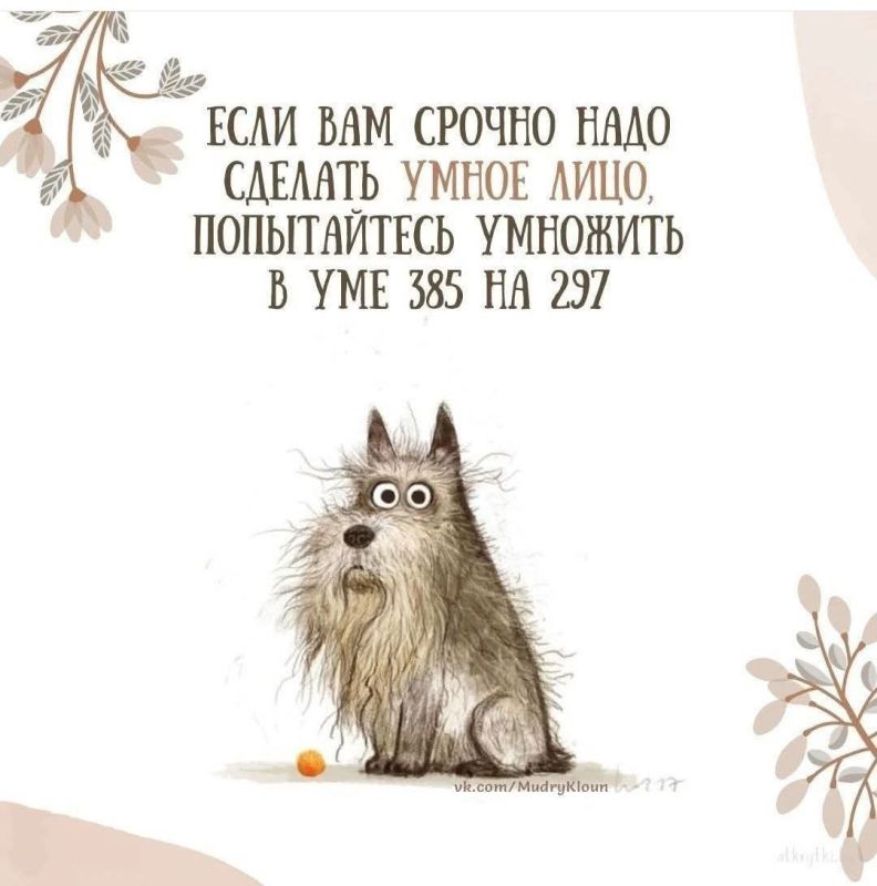 Минутка юмора.