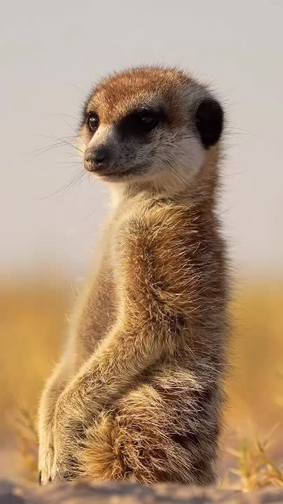 С добрым утром, Мариуполь!