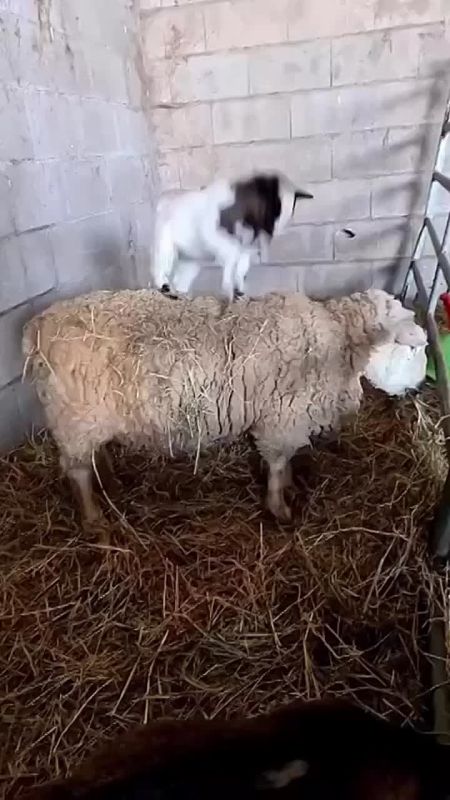 С добрым утром, Мариуполь!