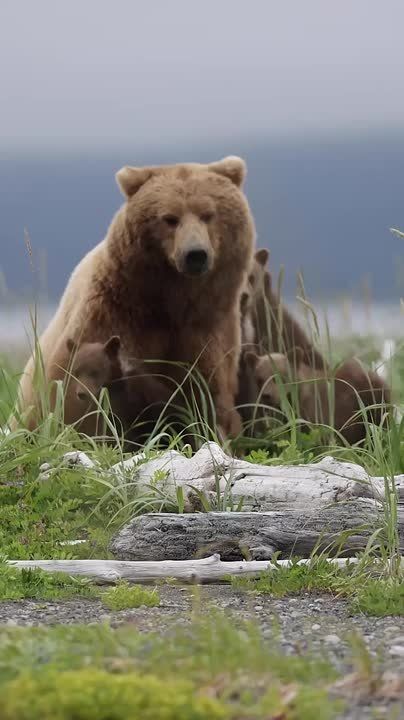 Спокойной ночи, Мариуполь!