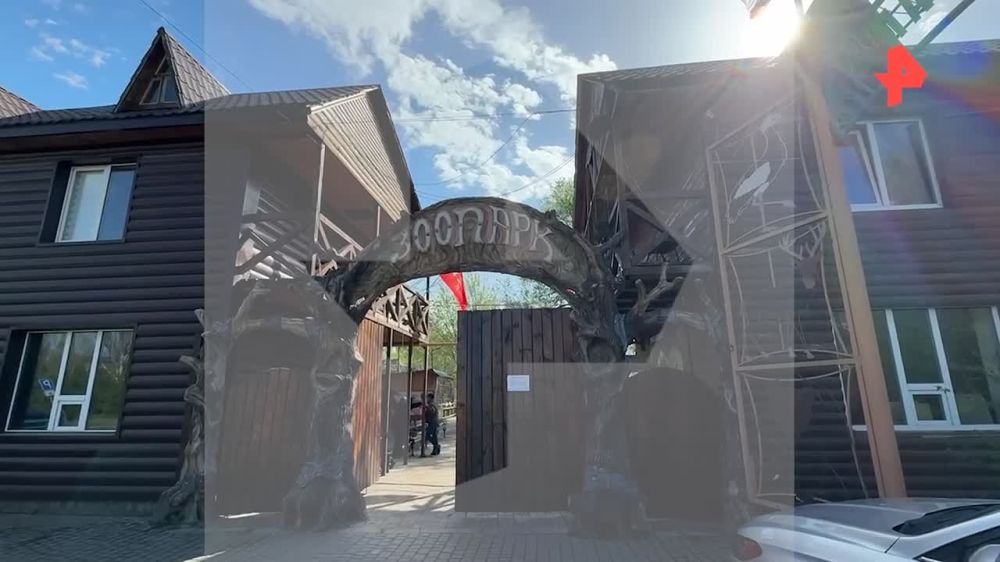 "Выскочила из берлоги и за шею — раз": владелец зоопарка в Мариуполе Савелий Вашура рассказал подробности гибели сотрудника в результате нападения белого тигра