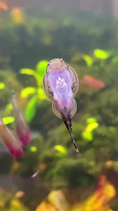 Спокойной ночи, Мариуполь!