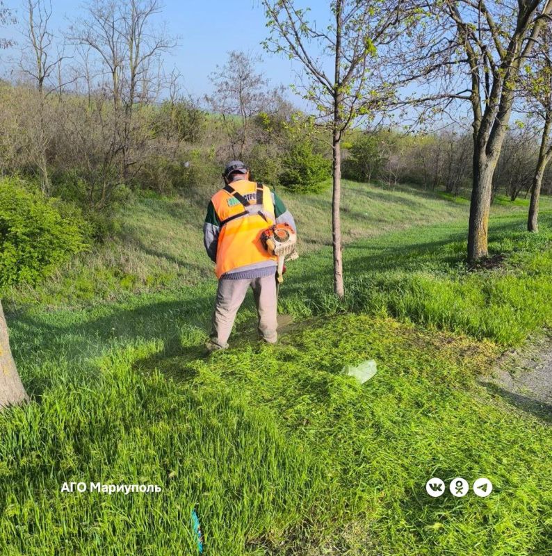 «Зеленстрой» благоустраивает Донецкую трассу