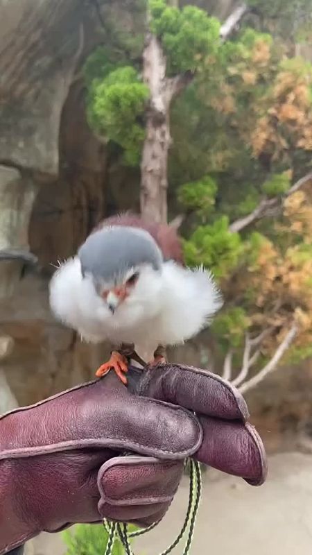 С добрым утром, Мариуполь!
