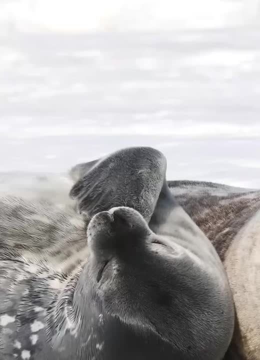 Спокойной ночи, Мариуполь!
