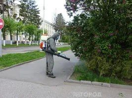    ,      ,     