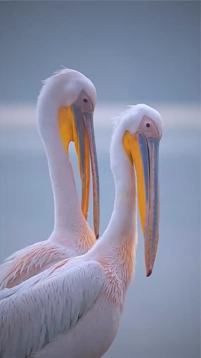 Спокойной ночи, Мариуполь!