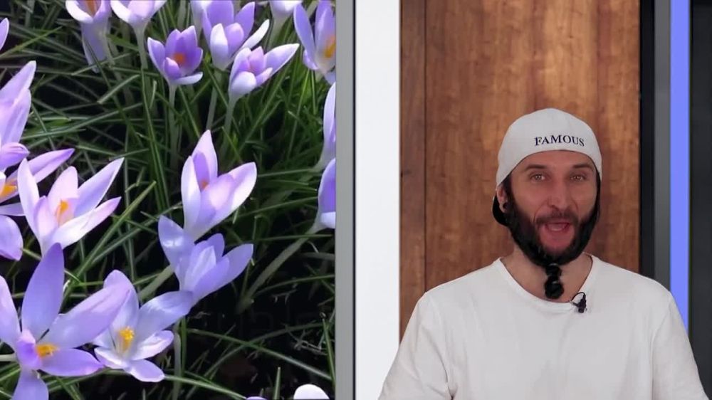 Прогноз погоды на 30.04.2025