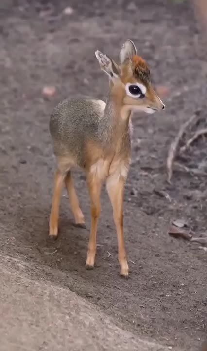  , !