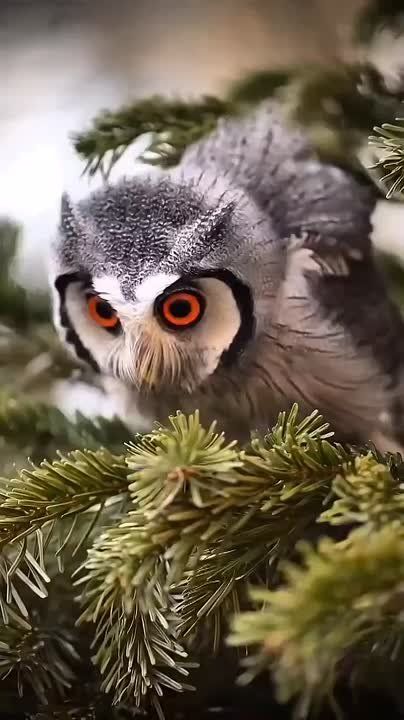 Спокойной ночи, Мариуполь!