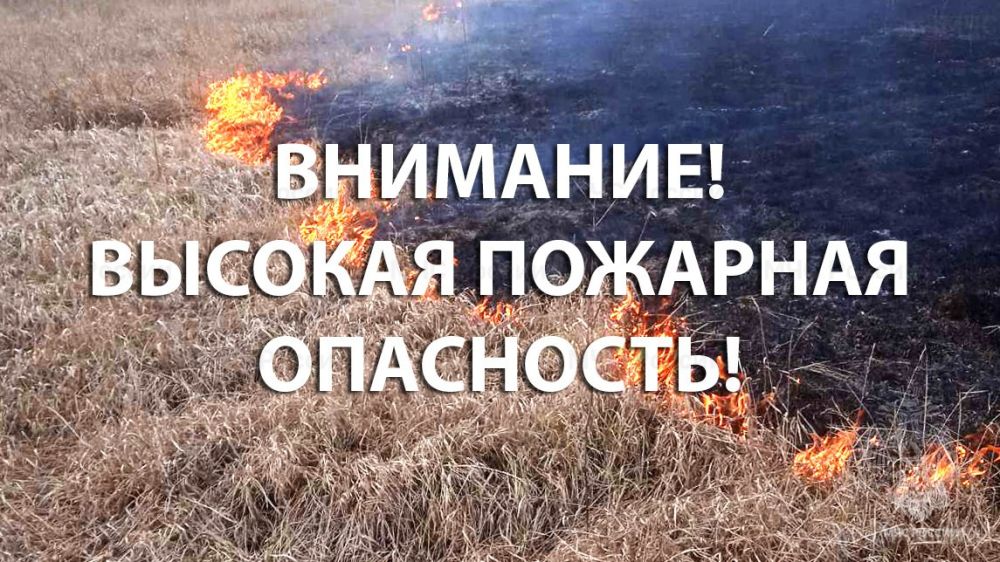  .   (   л),    7      8     ,  -     (4 )