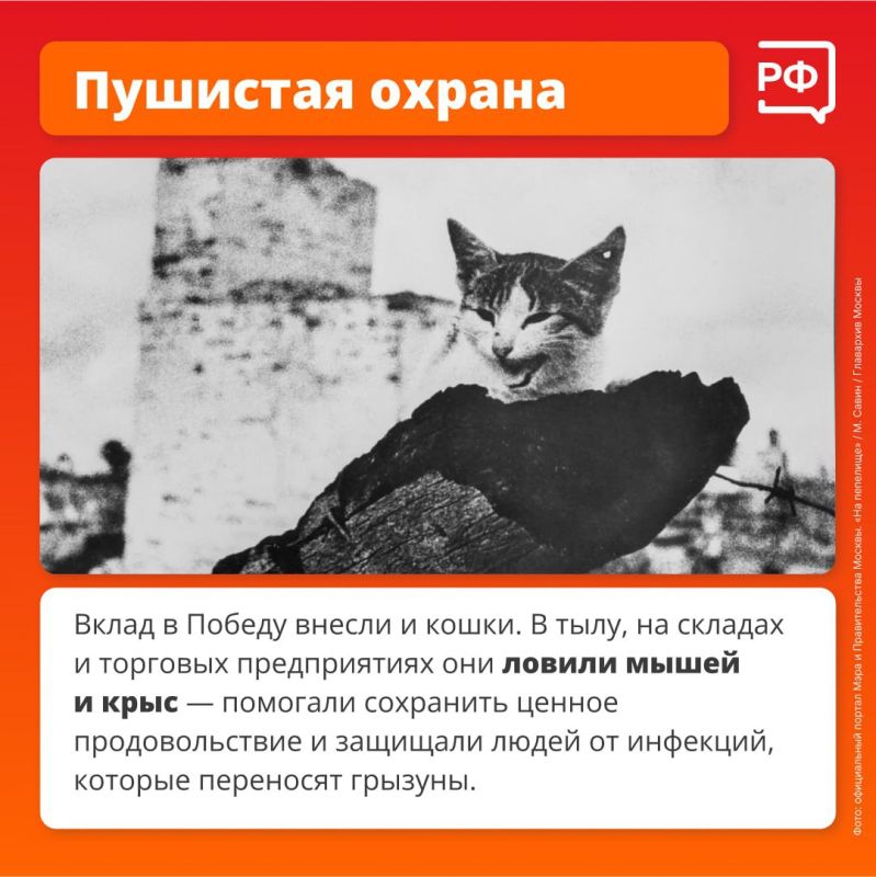       , , ,    ,     