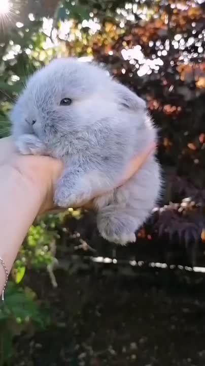   , !