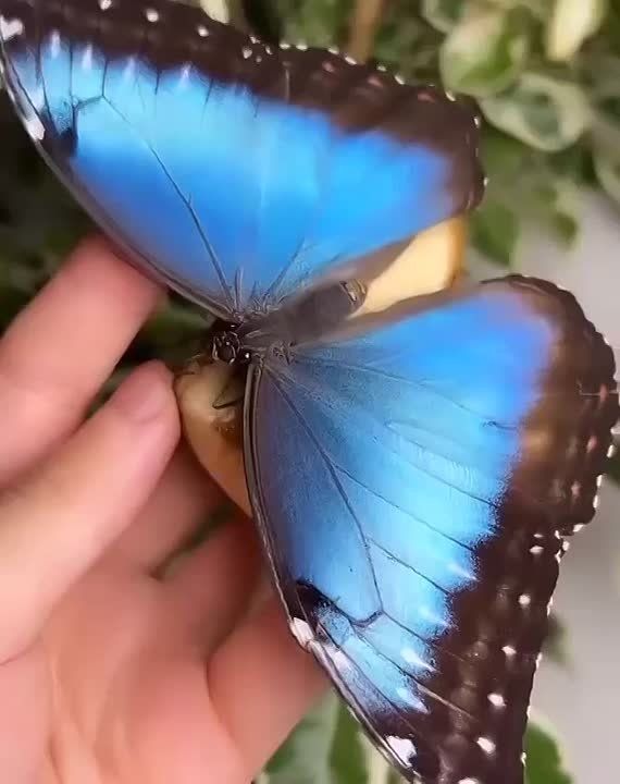  , !