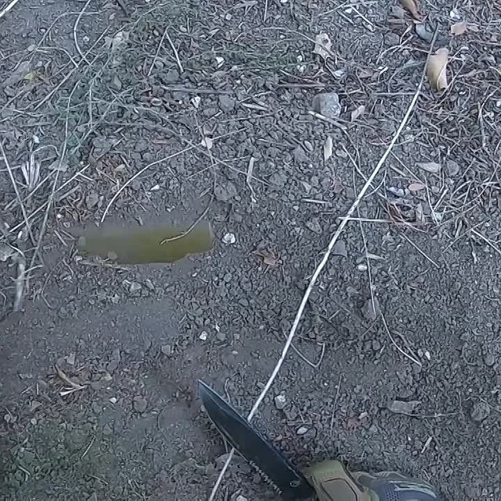 - .   ,    ,       