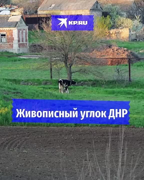  ,    :      