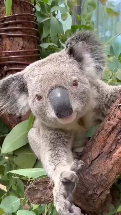  , !.       ,  ,     
