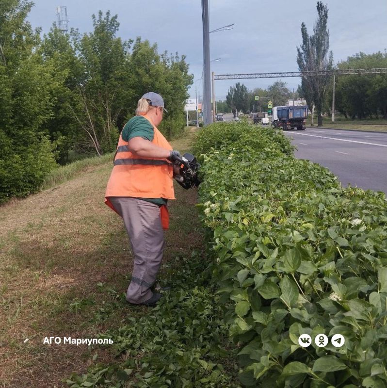 Коммунальщики продолжают благоустраивать зеленые зоны Мариуполя
