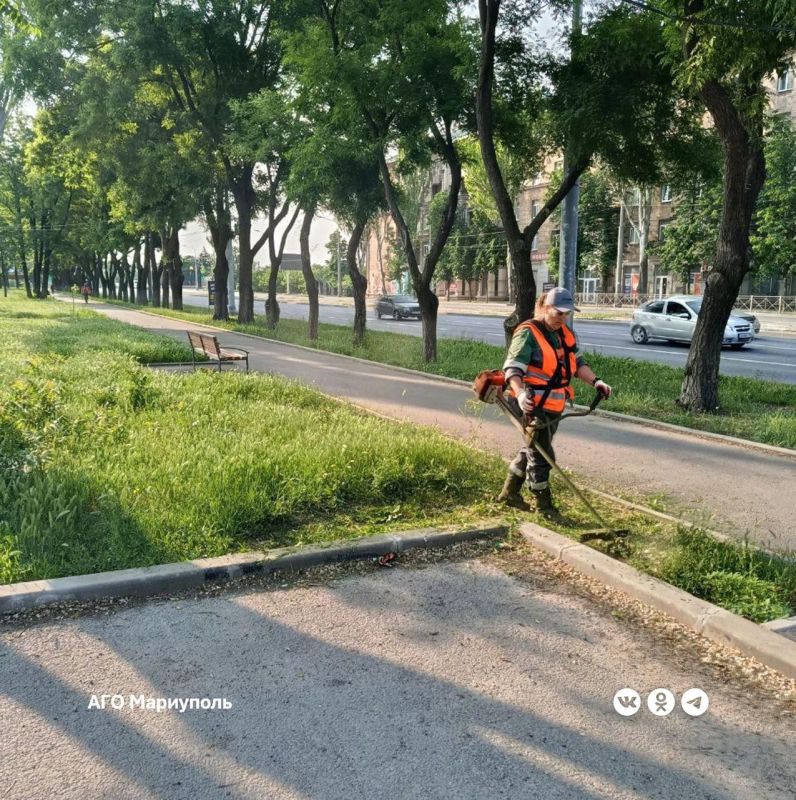 «Зеленстрой» продолжает активный покос травы