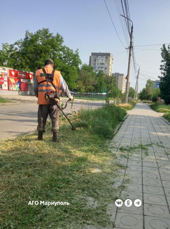 «Зеленстрой» выполняет работы по благоустройству микрорайона «Восточный»